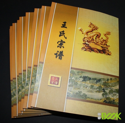 宗譜族譜(pu)